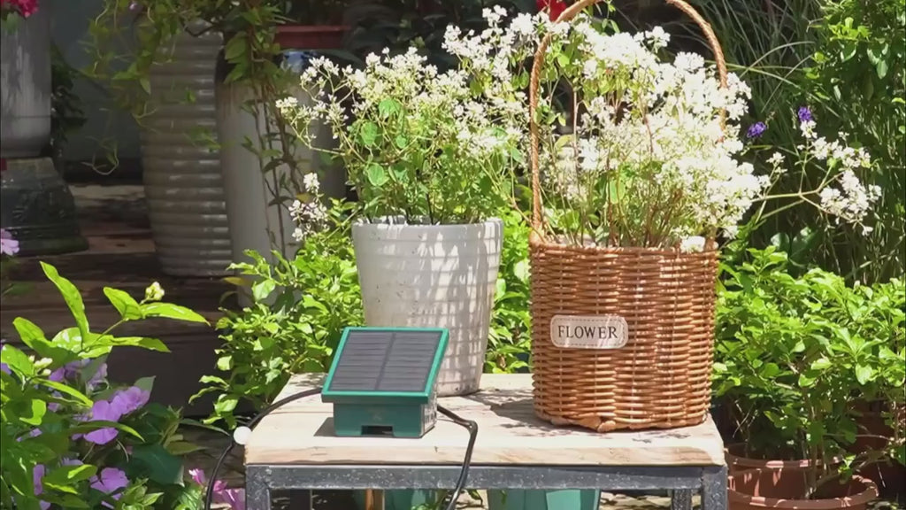 1pc DIY Solar-Powered Automatic Drip Irrigation System