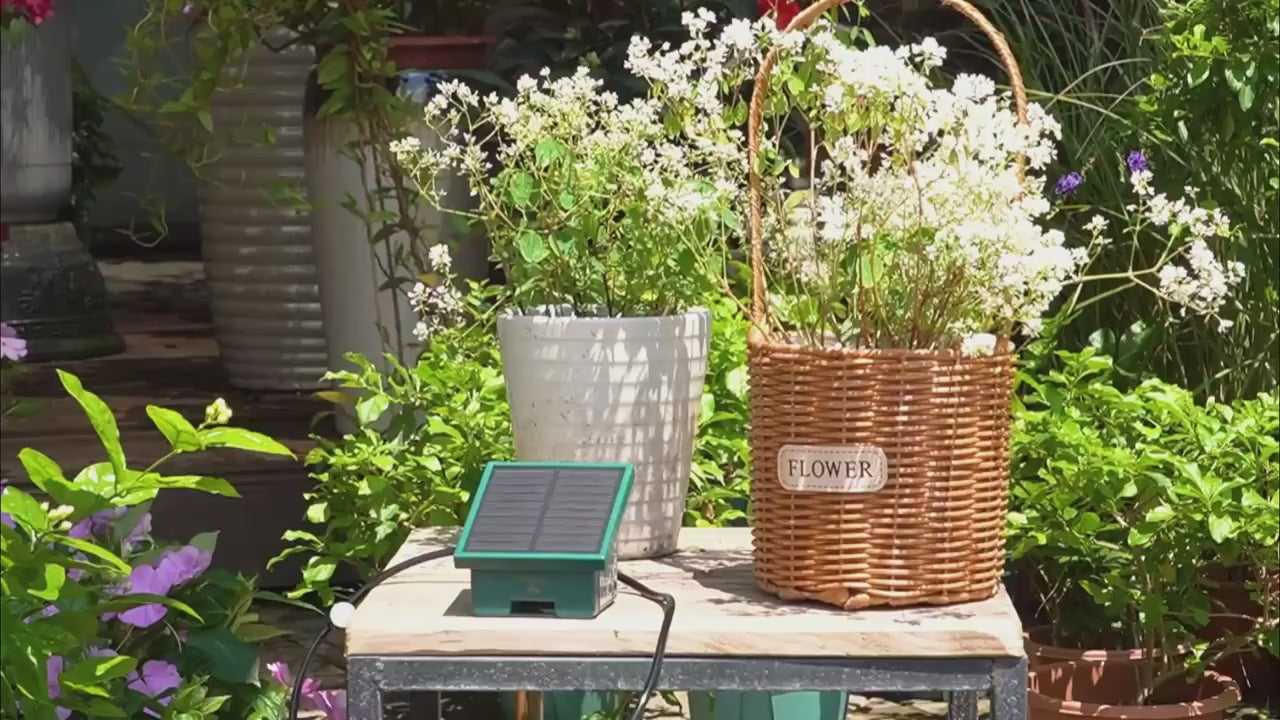 1pc DIY Solar-Powered Automatic Drip Irrigation System